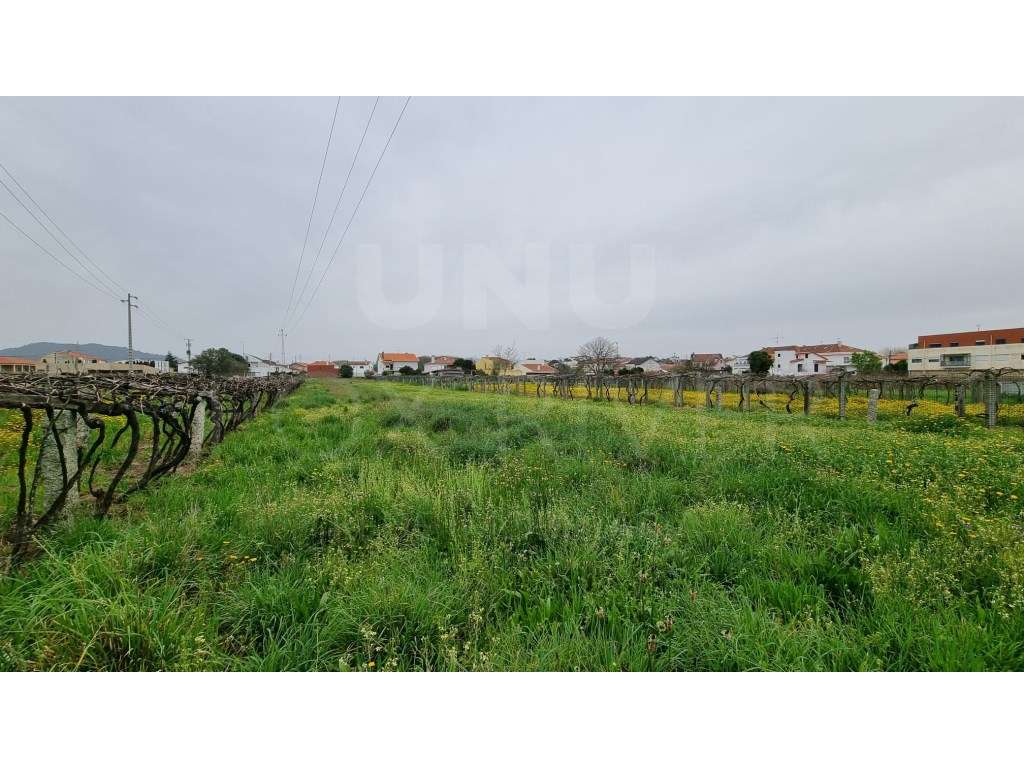 Terreno em Santa Marta de Portuzelo - Grande imagem: 4/5
