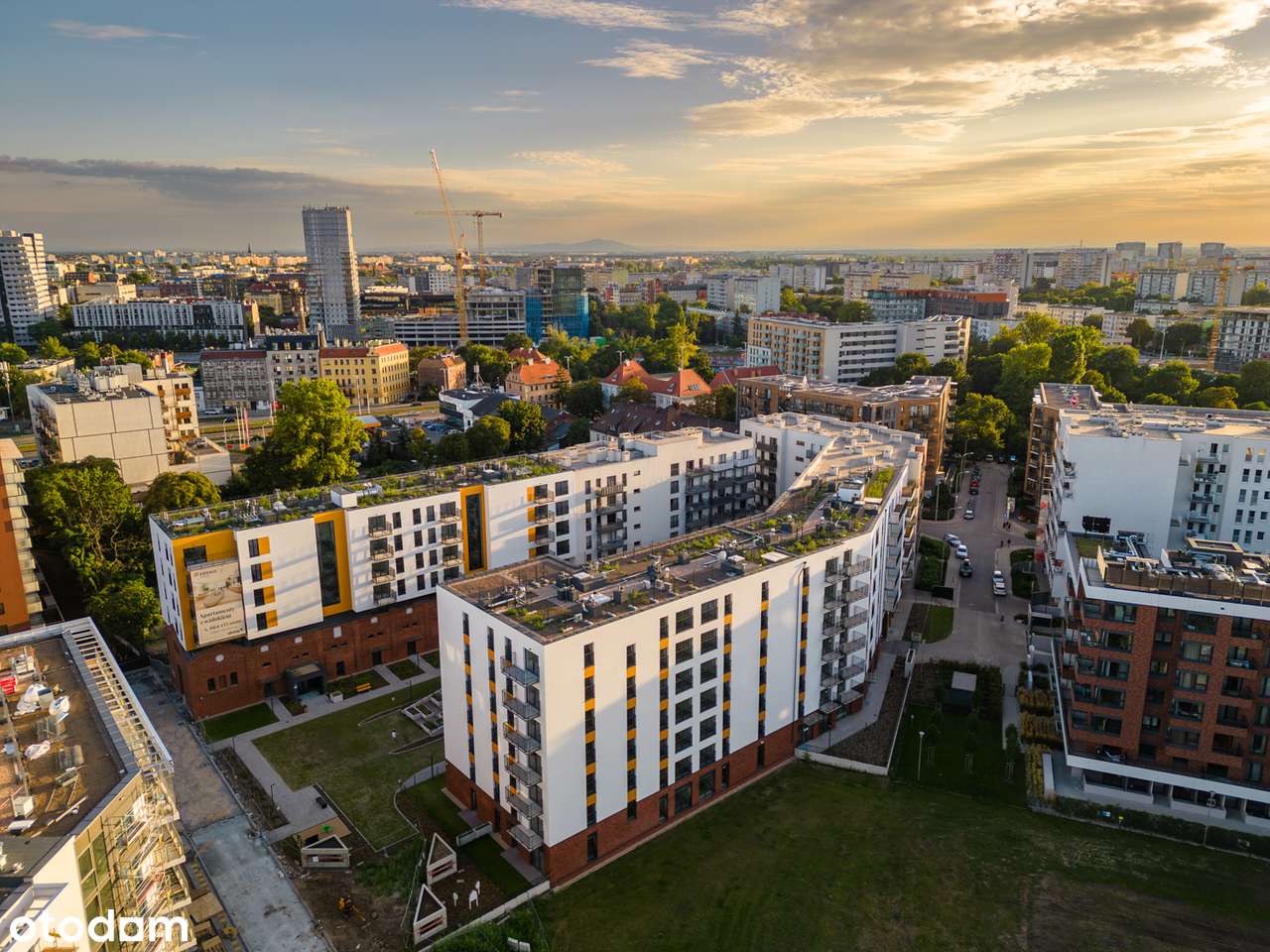 Oferta specjalna na duży lokal usługowy przy parku - Pełny obrazek: 5/11