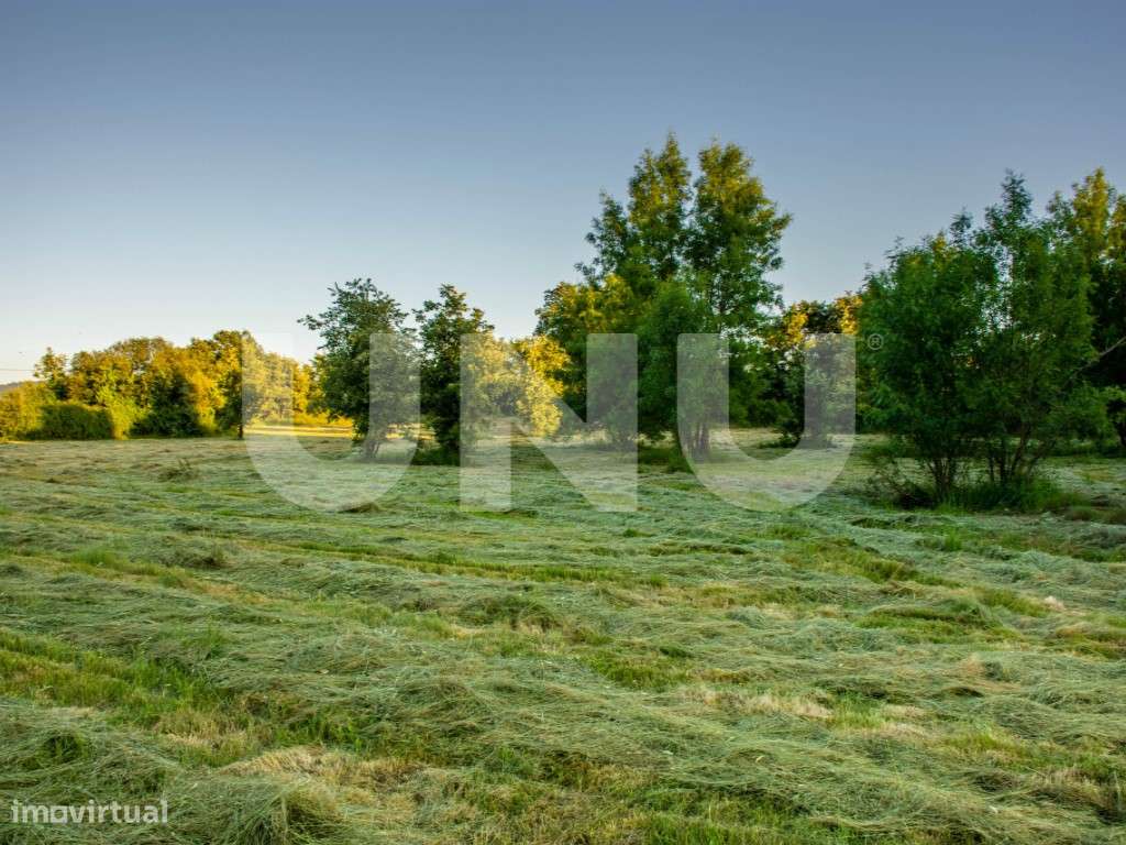 Terreno Rústico para venda nas Ínsuas, Fundão - Grande imagem: 2/7