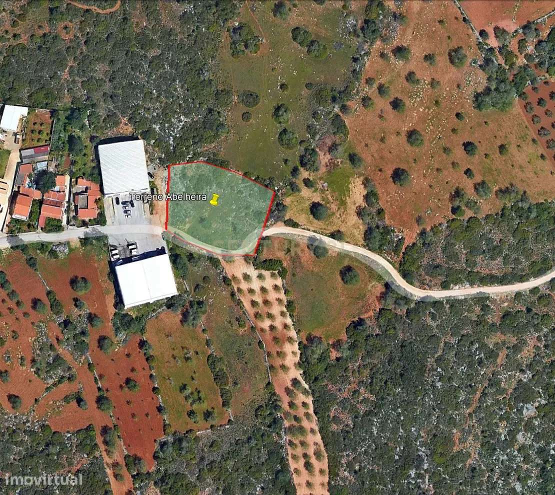 Terreno rústico com 2800m2 a 5 minutos de Boliqueime - Grande imagem: 2/12