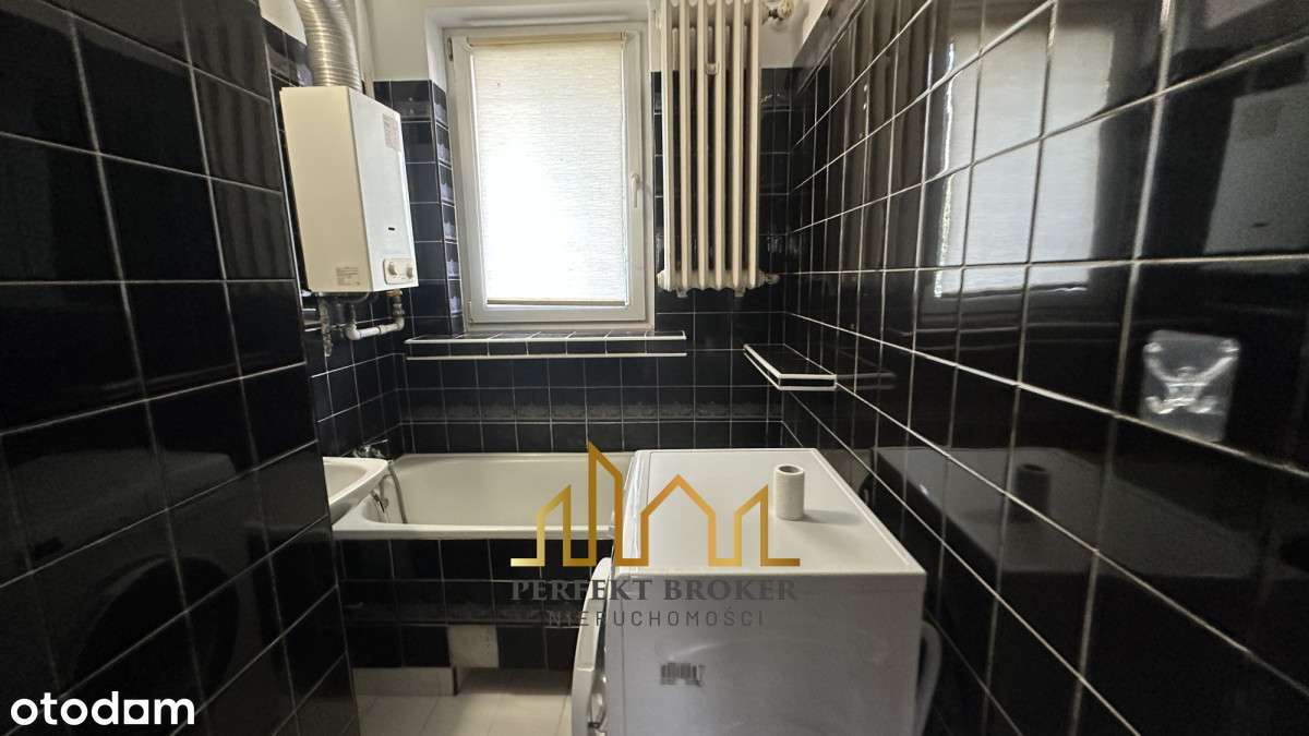 Miasteczko Akademickie! Wieniawa! - Pełny obrazek: 4/11