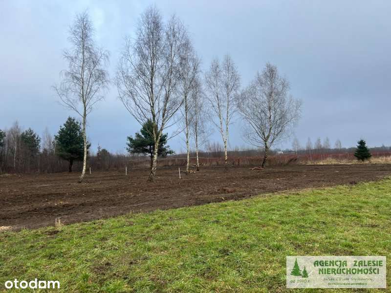 PRAŻMÓW, CENTRUM - trzy działki  budowlane blisko szkoły podstawowej-6