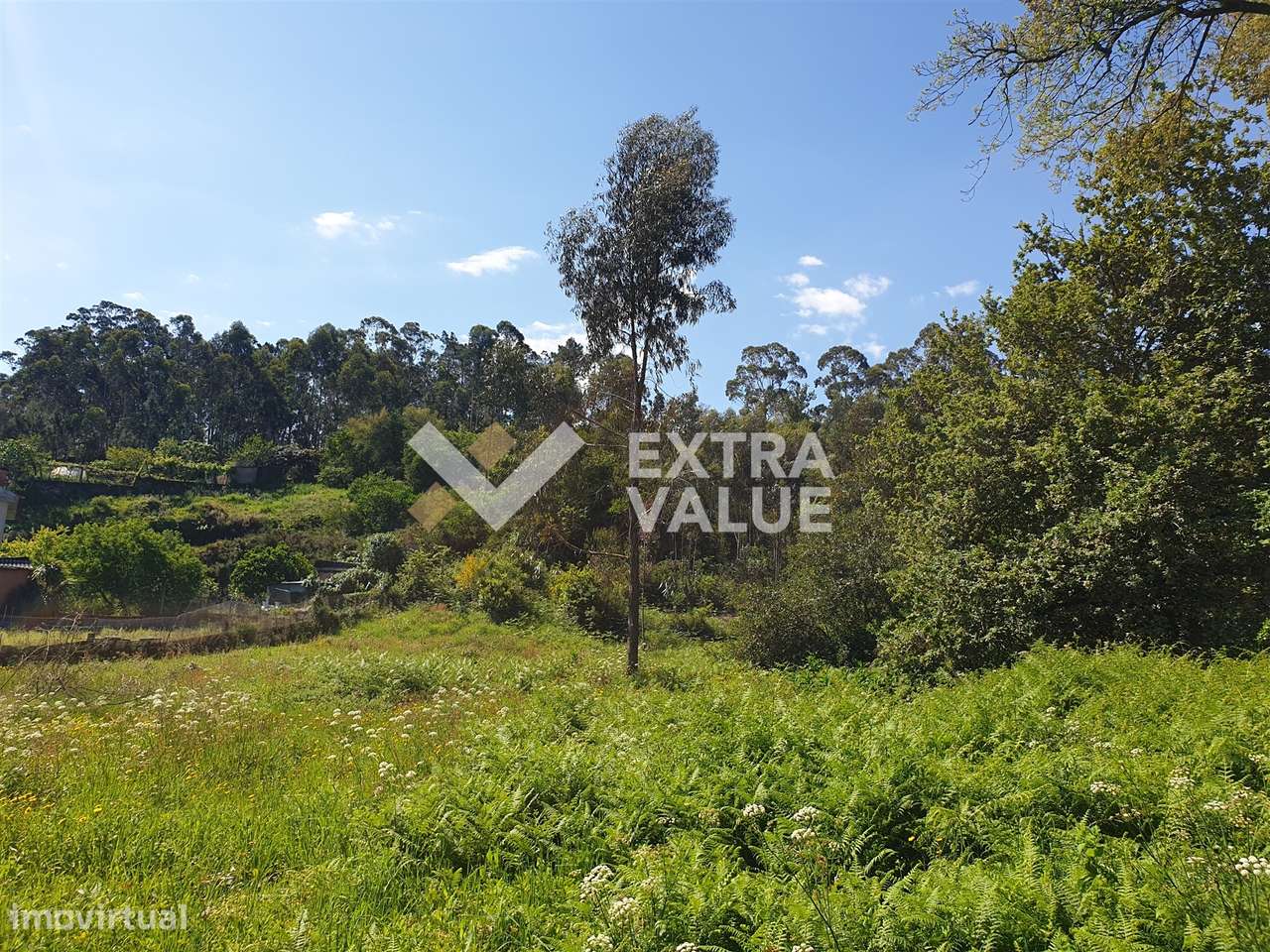 Terreno Para Construção  Venda em Darque,Viana do Castelo - Grande imagem: 5/11