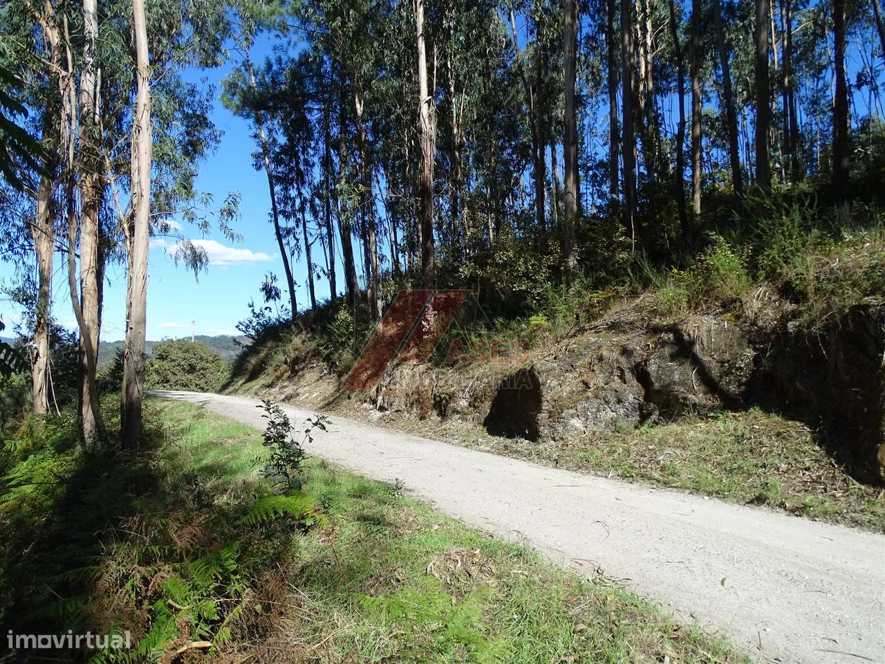 TERRENO PARA CONSTRUÇÃO EM SERAFÃO - FAFE!-13