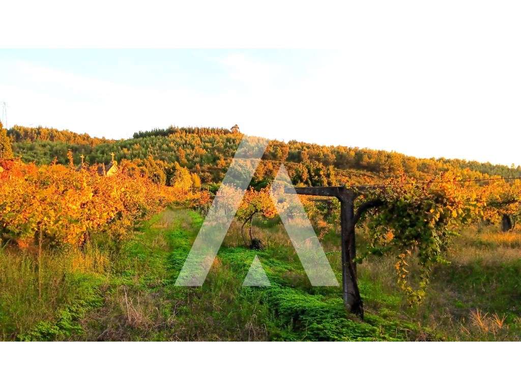 Quinta Nevogilde com Moradia T10, Capela, Celeiro e Acesso ao Rio S...-32