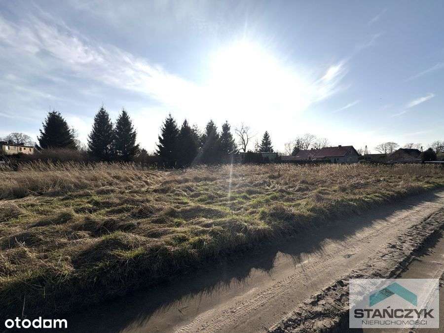 Atrakcyjna Działka Budowlana 2158 m2- Pas Nadmorsk - Pełny obrazek: 3/4