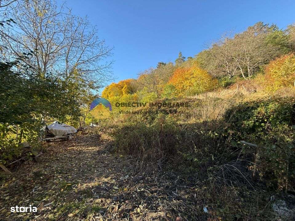 Teren intravilan 1543 mp – zona Darmanesti-0