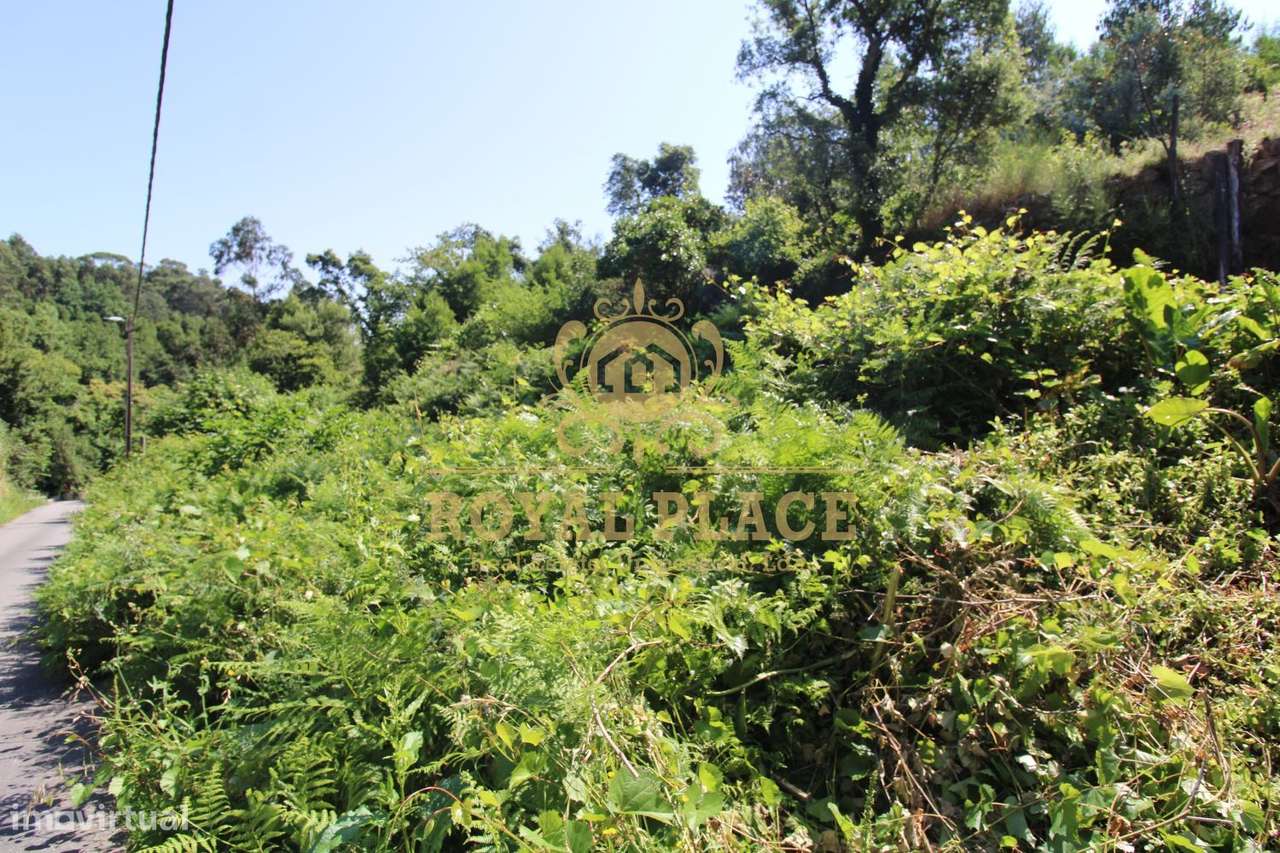 Terreno com 4 700m2 em Avintes - Grande imagem: 3/13