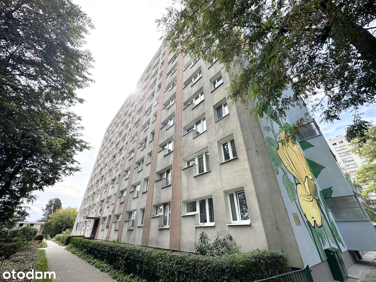 2 pokojowe mieszkanie po generalnym remoncie! MPEC, winda, parking-18
