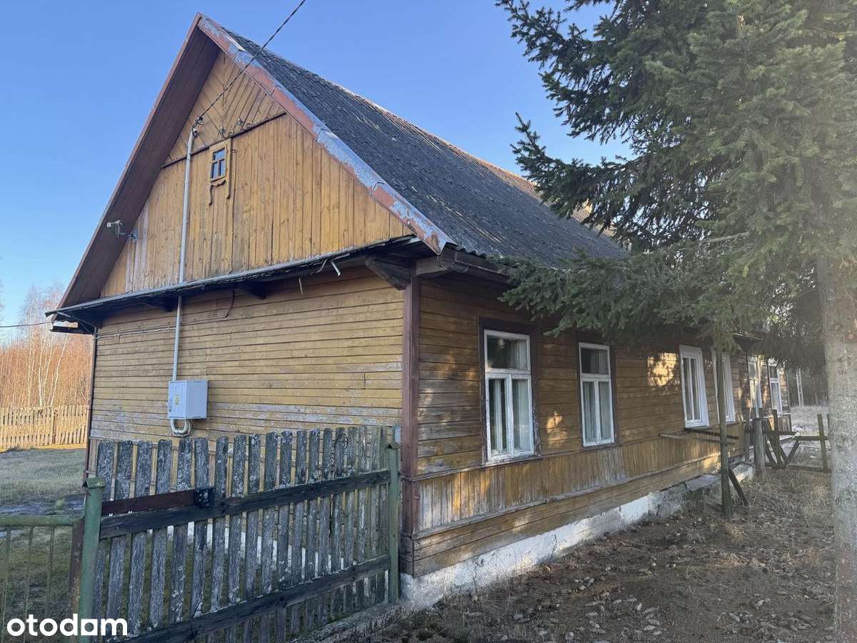 Mikłaszewo 3.7ha Siedlisko w Puszczy Białowieskiej - Pełny obrazek: 4/20