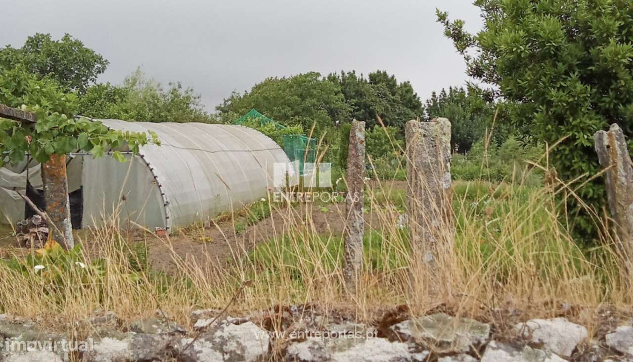 Venda de Terreno com 5250m², Darque, Viana do Castelo - Grande imagem: 3/8