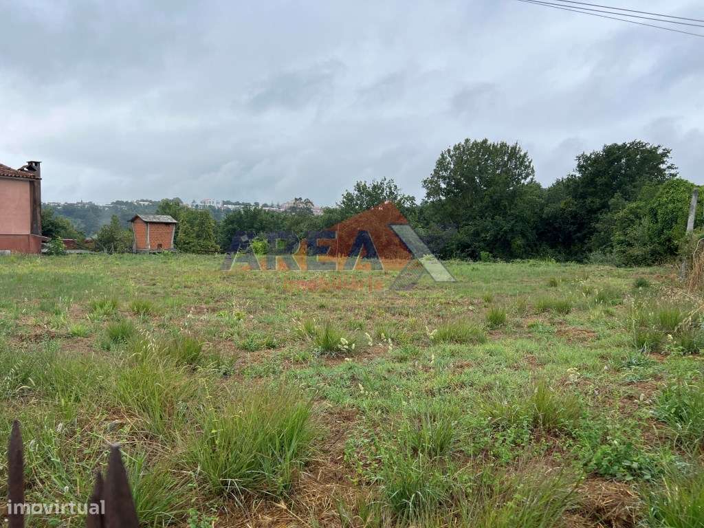 Terreno com 3.900m2, perto de Oliveira de Azeméis-3