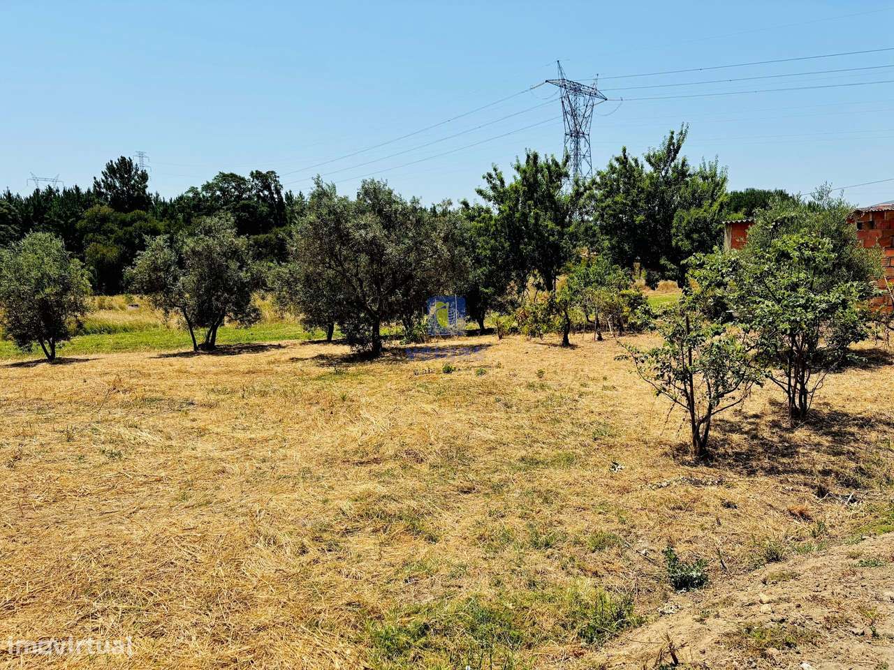 Terreno Urbano com 3.695 m2 em Alcoentre, com viabilidade de construçã - Grande imagem: 3/13