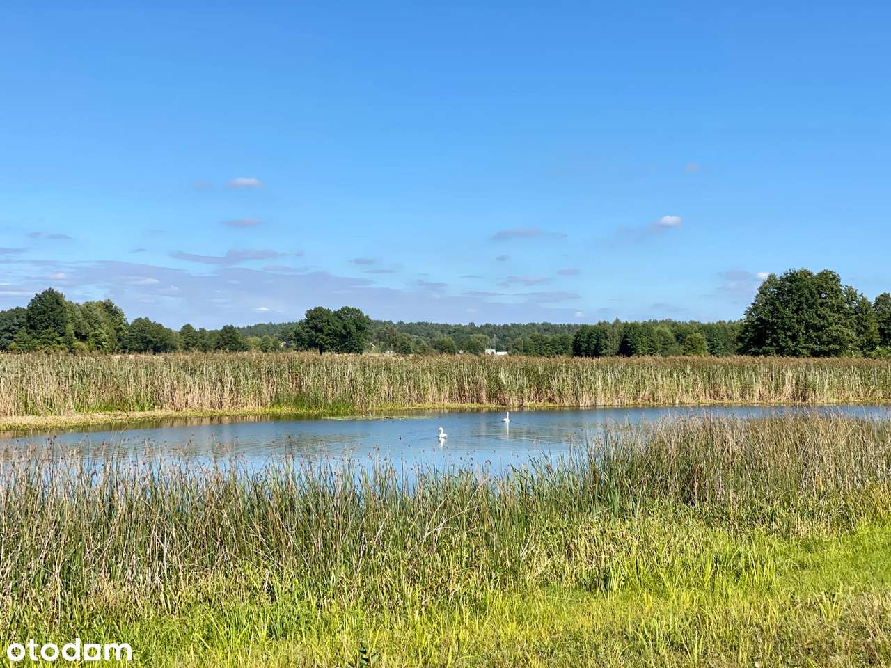 Uroczy dom w lesie  100 km od W-wy - Pełny obrazek: 5/20