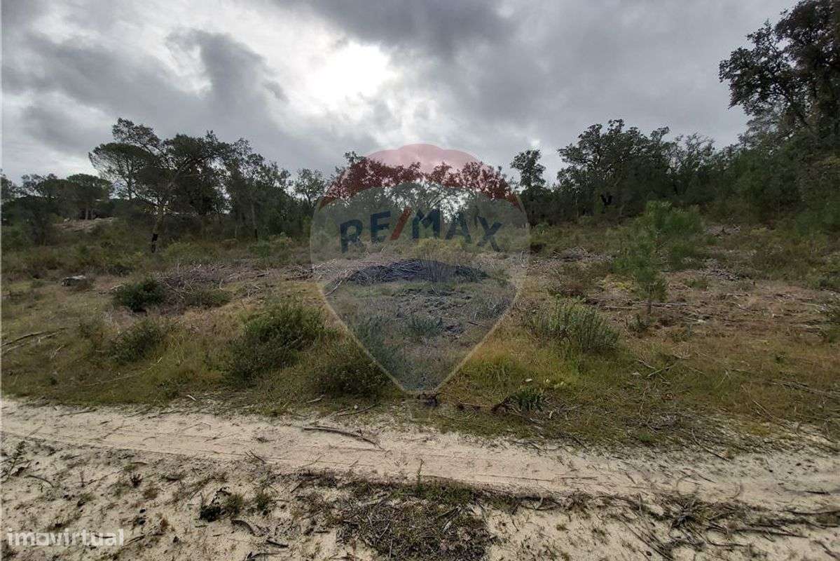 Terreno T0 para venda - Grande imagem: 5/5