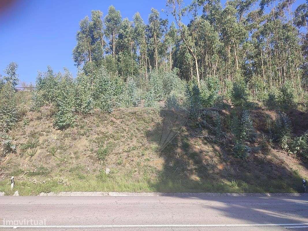 Terreno  para venda - Grande imagem: 2/10