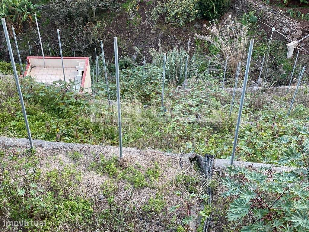 TERRENO COM 2110 m² | CAMINHO DO TERÇO (Cª LOBOS)-17