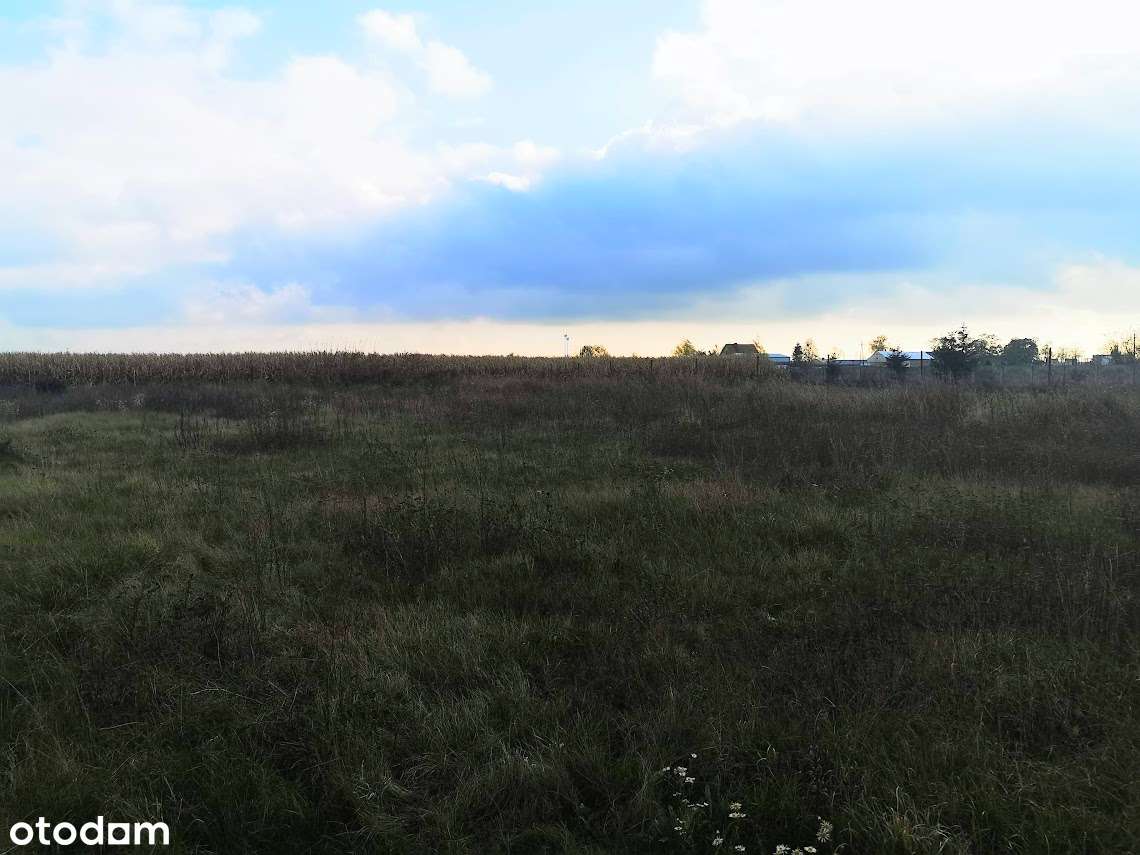 działka 2681m2/ budynek 50m2/ możliwość budowy domu-8