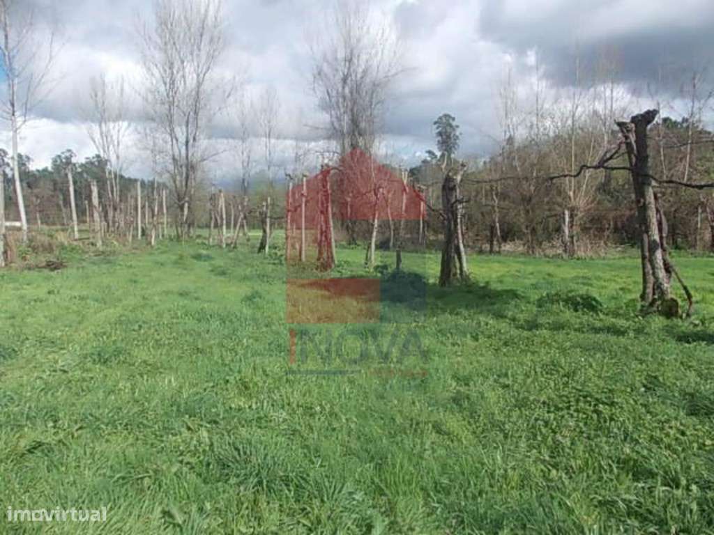 Terreno agrícola em Gême - Grande imagem: 4/6