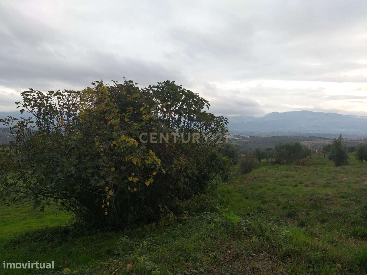 Lote de terreno para construção de moradia isolada  no centro de Forno - Grande imagem: 5/6
