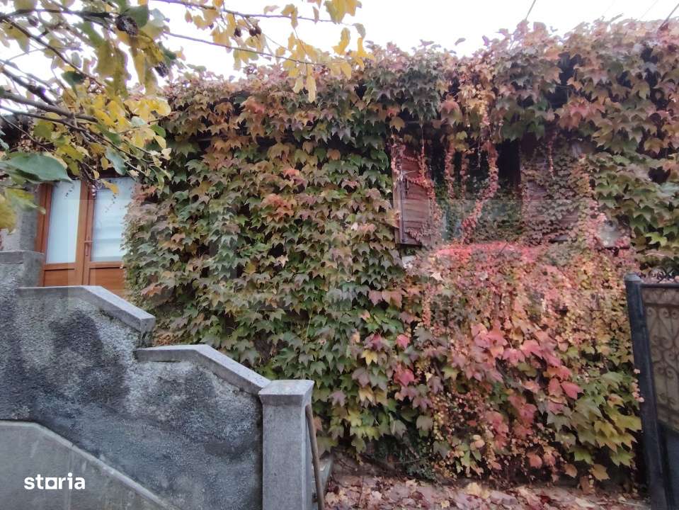 Proprietate in zona Parcului N Romanescu, casa batraneasca si teren de - Imagine principală: 2/9