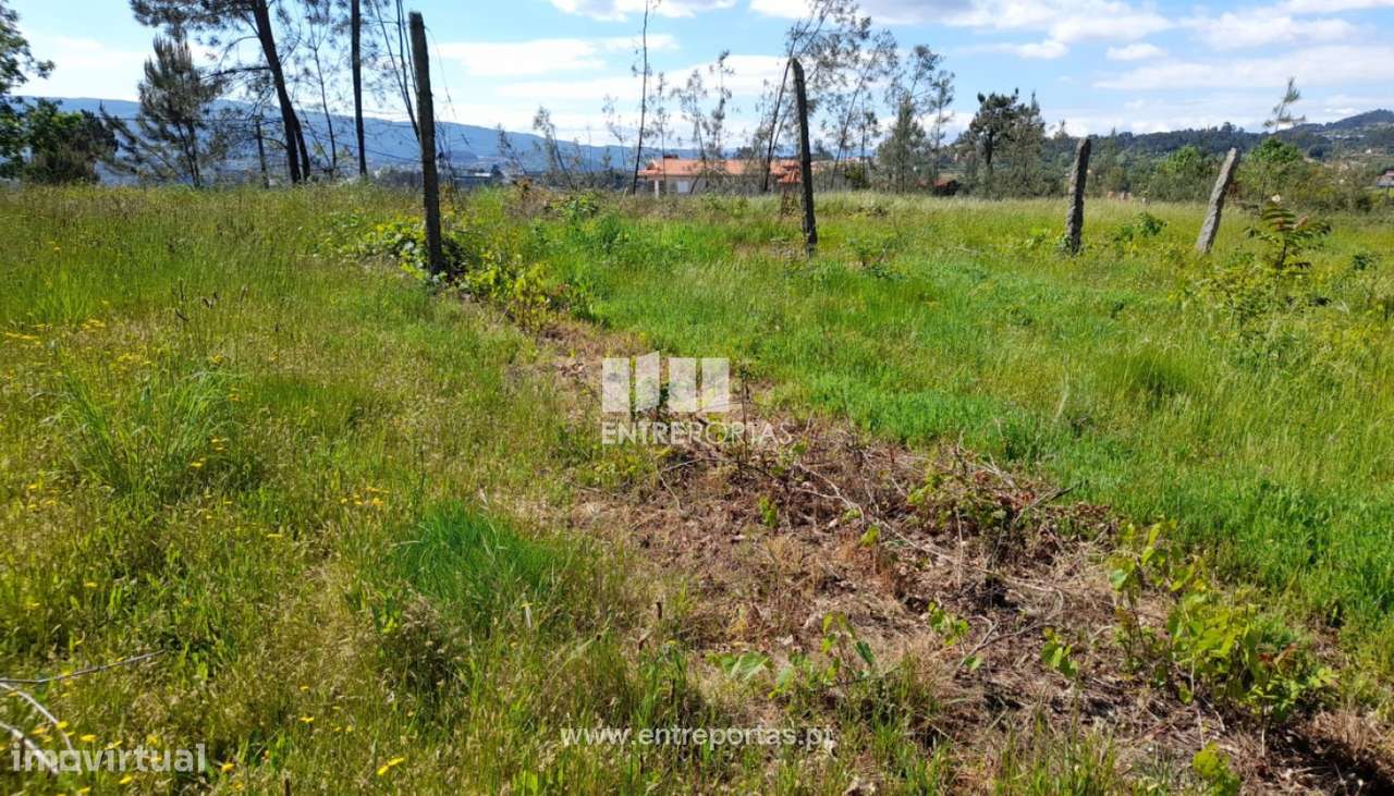 Venda Terreno, Fregim, Amarante - Grande imagem: 4/28