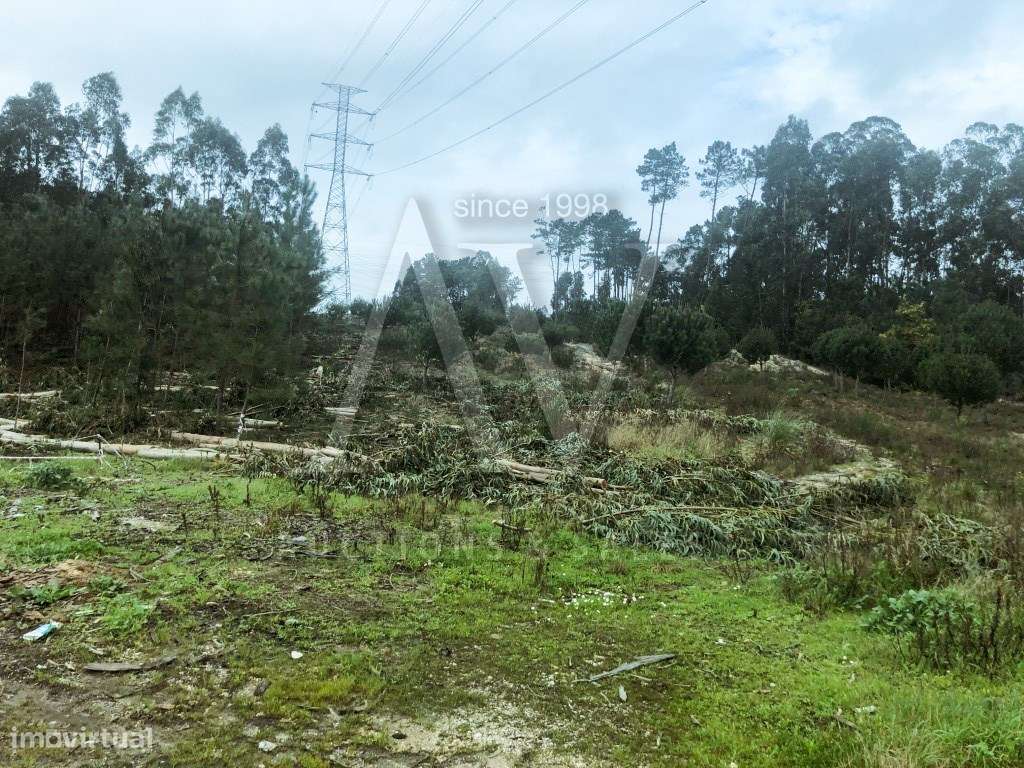 TERRENOS _ LEIRIA | LEILÃO ELECTRÓNICO | FIM 07*JAN - Grande imagem: 4/6