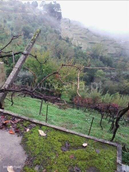 Lote / Baião, Baião (Santa Leocádia) e Mesquinhata - Grande imagem: 2/6