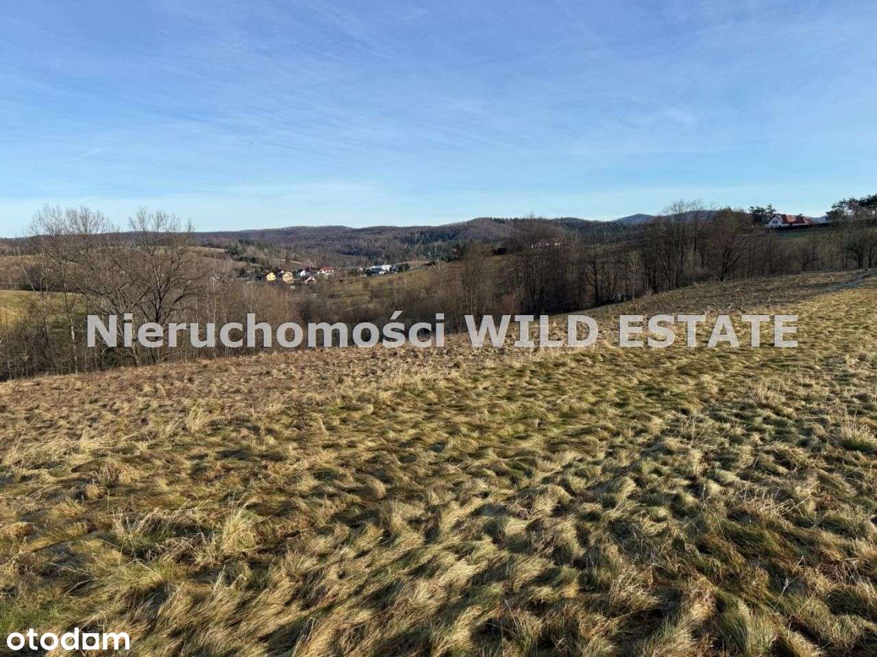 Działka, 3 402 m², Berezka-7