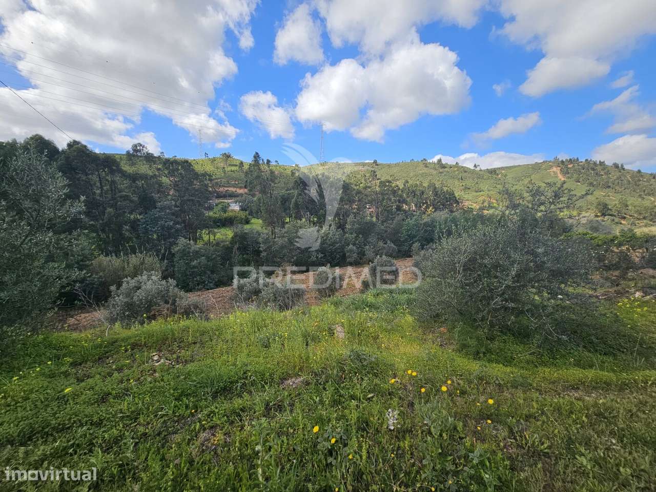 Terreno Rustico c/projeto - Grande imagem: 4/10