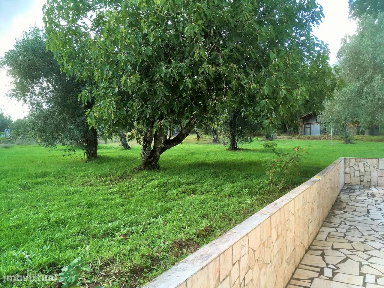 Moradia T3 isolada com jardim, terraço e garagem-15