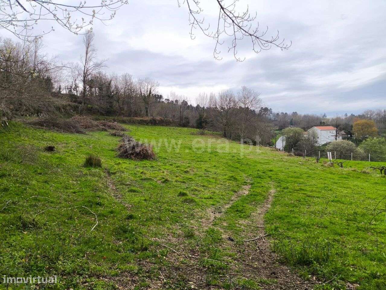 Terreno / Baião, Campelo e Ovil - Grande imagem: 3/11