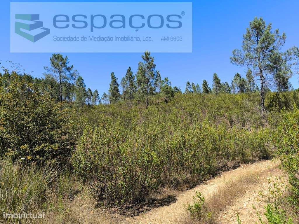 Terreno próximo do rio - Grande imagem: 3/7