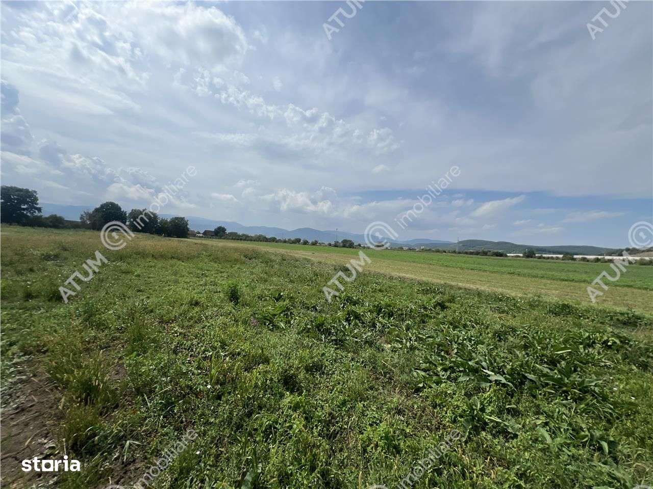 Teren intravilan de 8600 mp cu deschidere la doua drumuri in Cristian - Imagine principală: 4/5