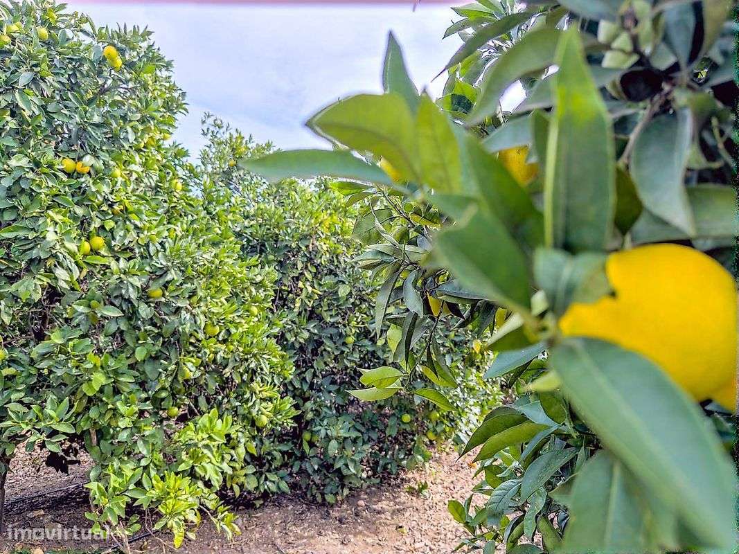 Terreno  para venda - Grande imagem: 5/46