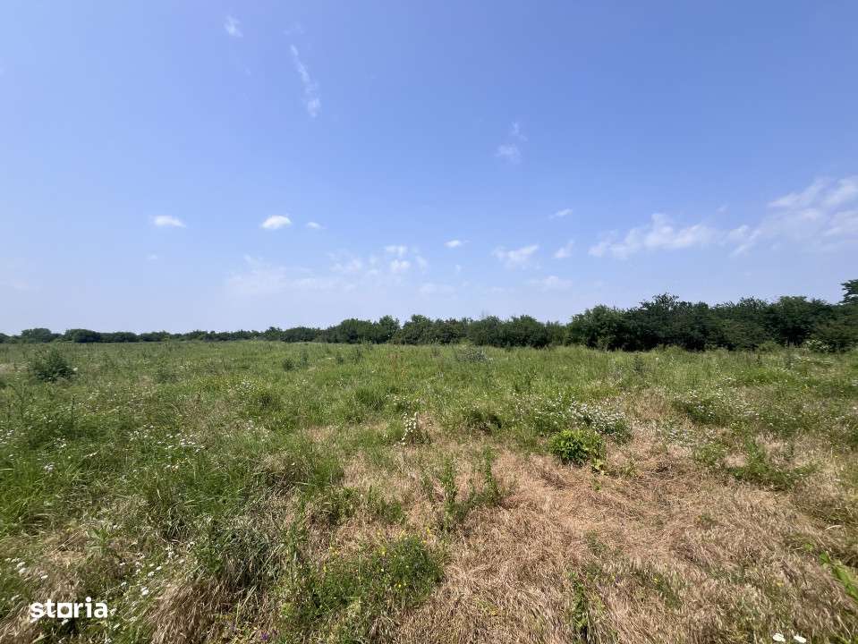 Teren De Vanzare - Oportunitate Investitie - Pretabil Hale/Cartier Rez-3