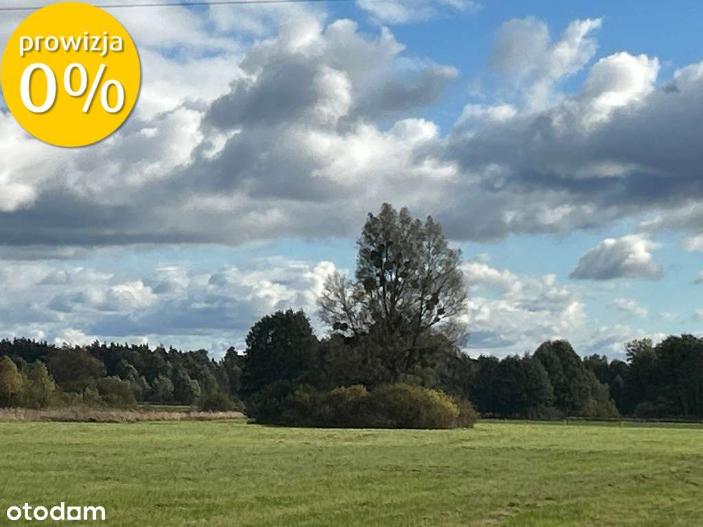 Siedlisko | 8,2 ha | Jędrzejewo k. Czarnkowa-9