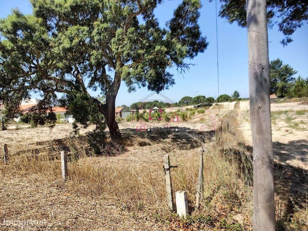 4 Moradias em Melides, exelente para investimento - Grândola-16