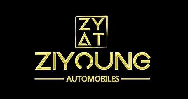 ZIYOUNG AUTOMOBILES logo