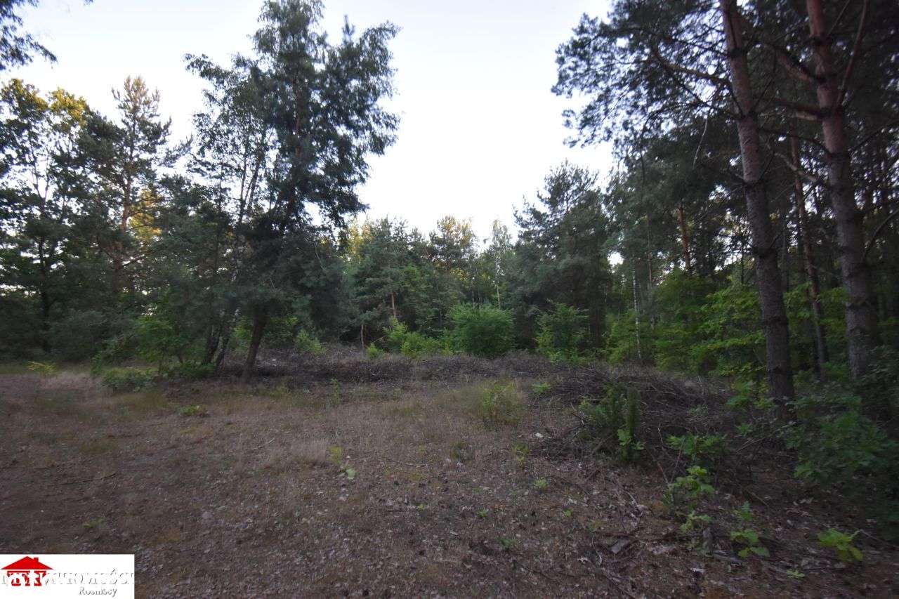 Pod pensjonat w otulinie lasu 37 km od Warszawy-1