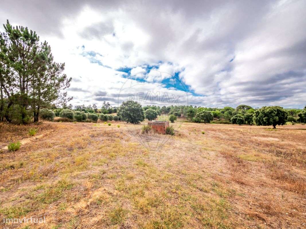 Terreno  para venda - Grande imagem: 4/8