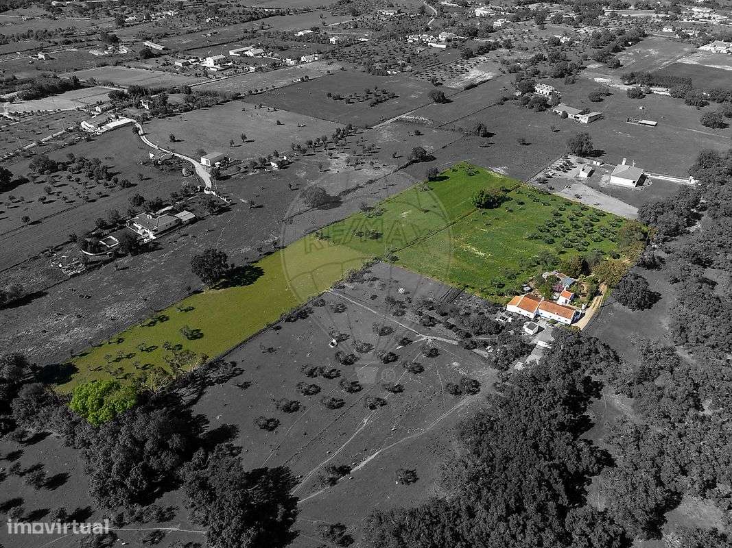 Quinta T6 para venda-5