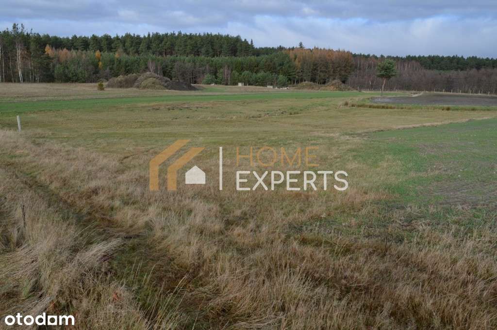 Działka pod zabudowę jednorodzinną (2 mieszkania). - Pełny obrazek: 5/6