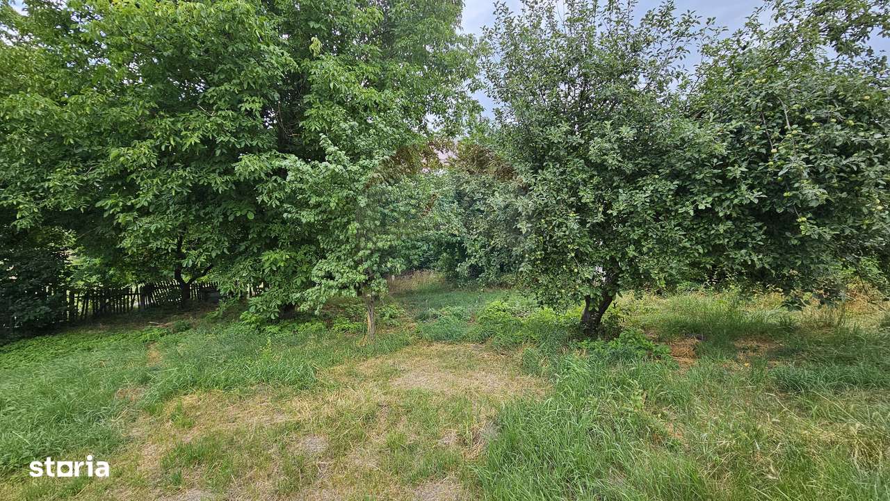 Teren intravilan 2,036mp Pădureni-Șendriceni, Botoșani - Imagine principală: 1/5