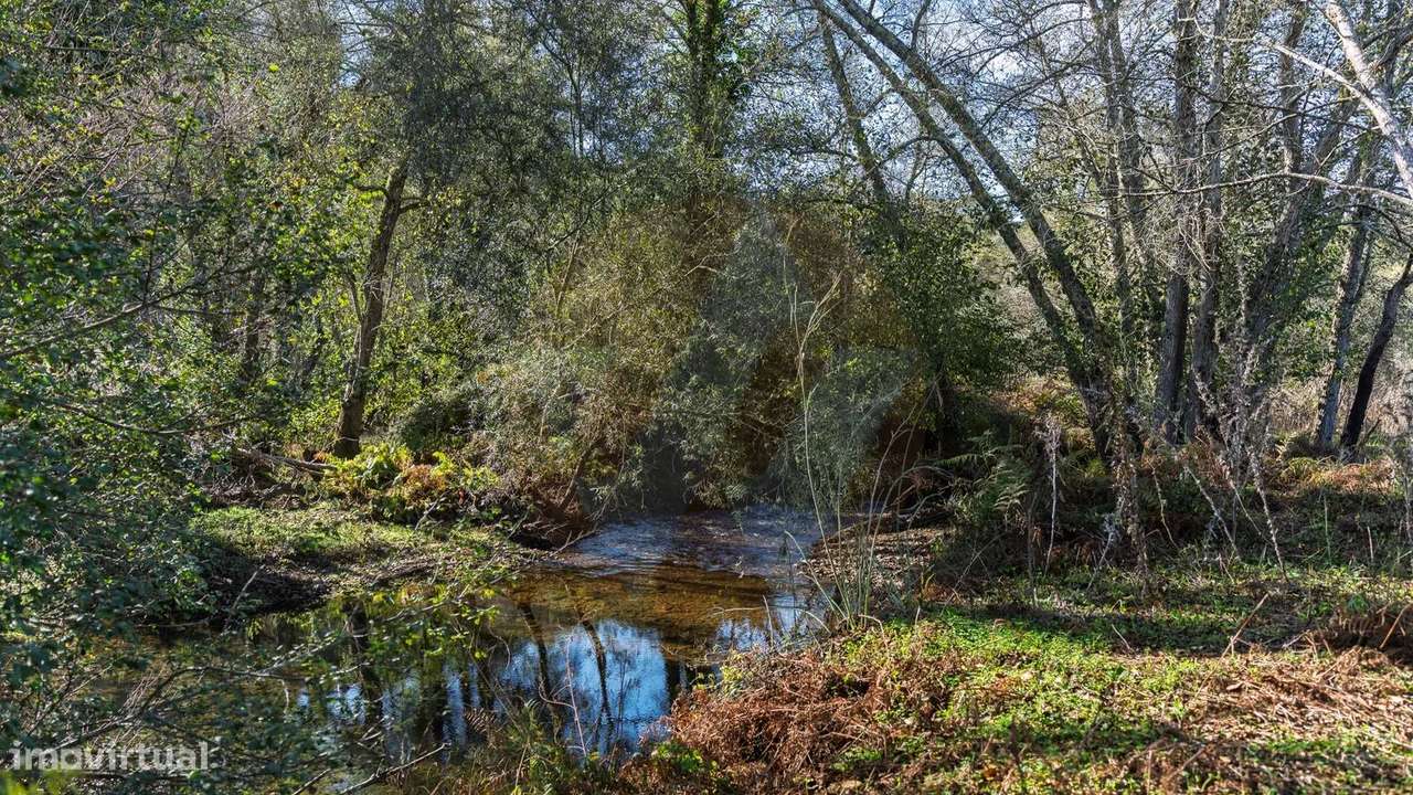 Quintinha Barranco do Penedo-14