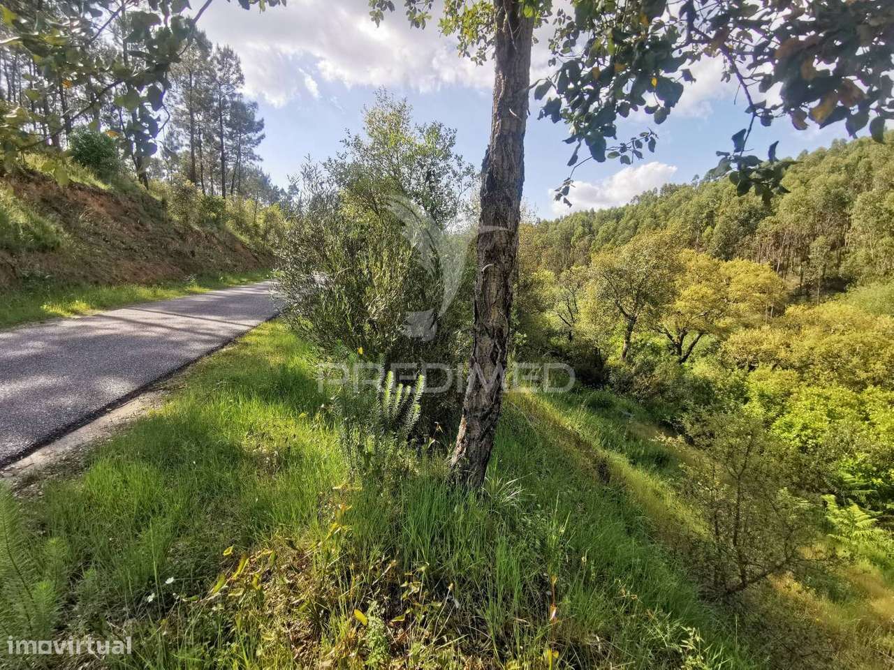 Terreno Rustico - Grande imagem: 4/38