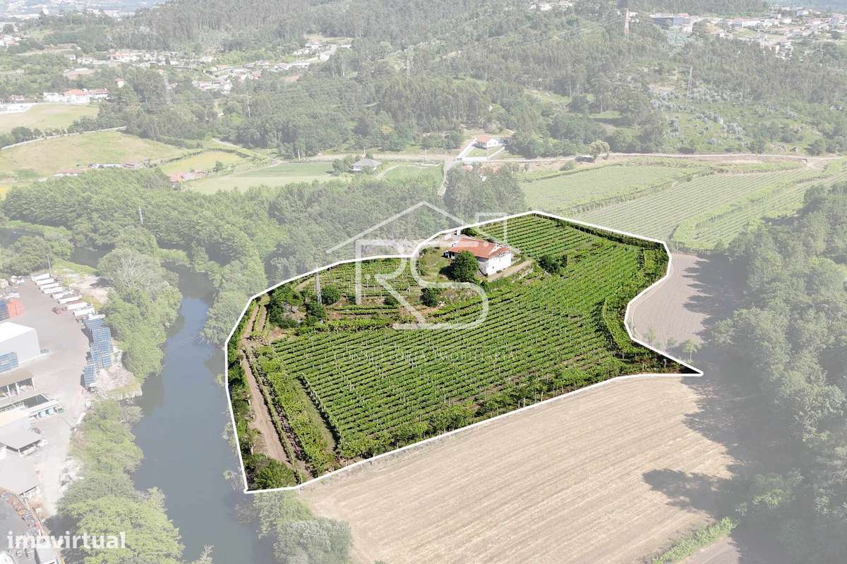Quinta T6 | Selho São Jorge, Guimarães-6