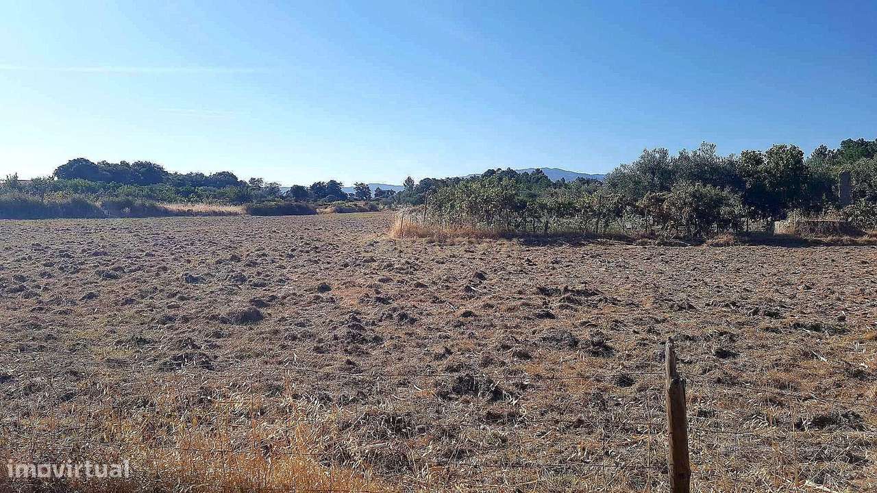 Terreno rústico em Lardosa - Castelo Branco - Grande imagem: 4/7