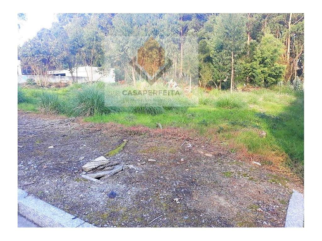 Terreno para construção de Moradia - Grande imagem: 4/4