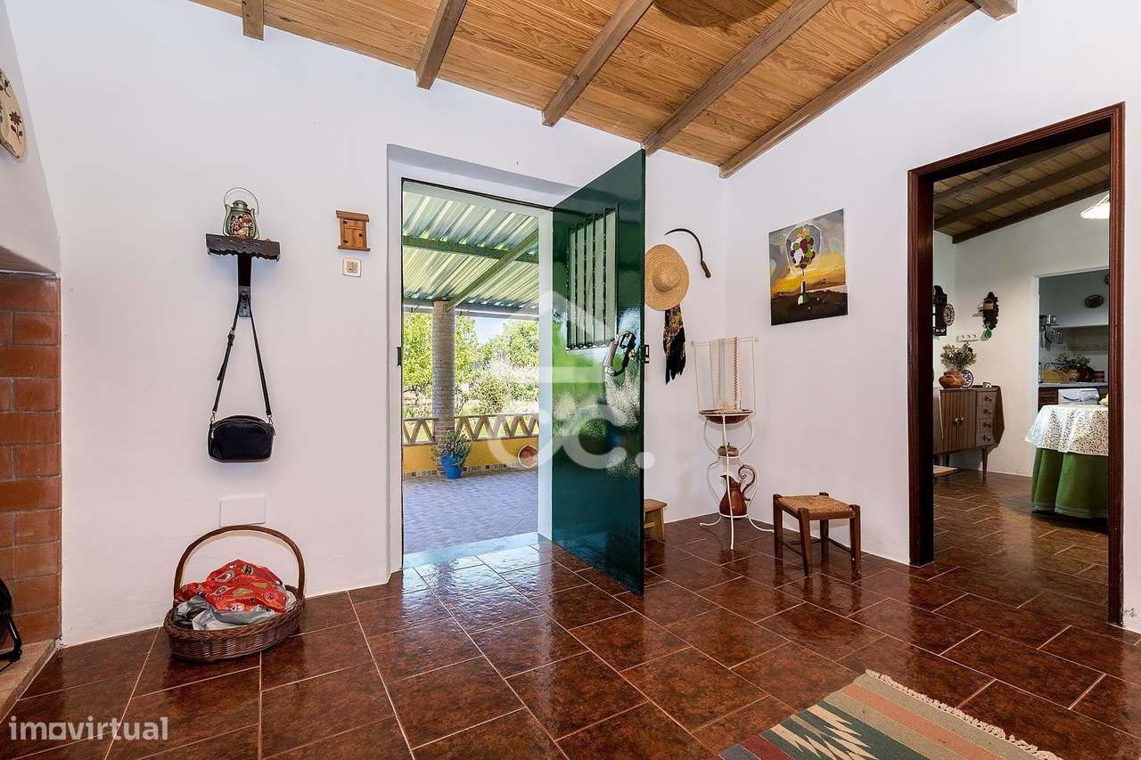 Quinta de 9250m2 c/ Moradia T4 térrea, anexo e armazém | Azaruja-10